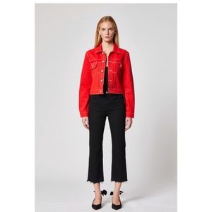 Hudson Jeans Remi High Waist Cropped Straight Leg 31 NWT